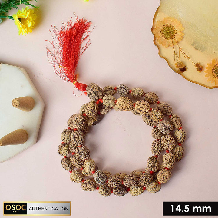 3 Mukhi Kantha Rudraksha mala made with three-faced Rudraksha beads, symbolizing purification and inner strength, ideal for spiritual growth and meditation. India’s Premium Jap Mala Store - www.satvikworld.com