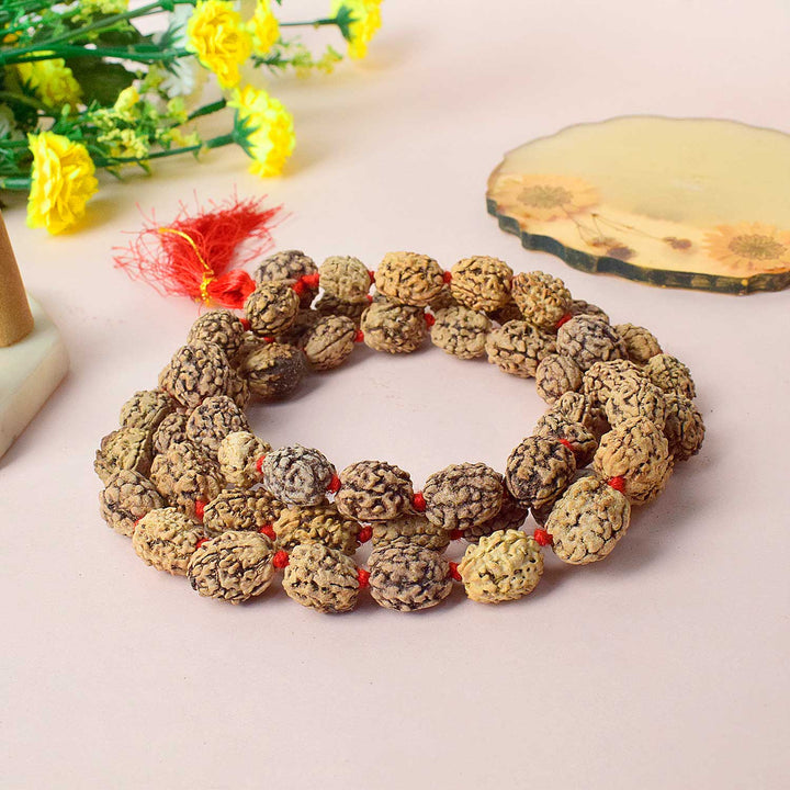 Certified 3 Mukhi Kantha Rudraksha Mala with light brown beads for spiritual healing, meditation, and emotional strength. India’s Premium Rudraksha Jap Mala Store- www.satvikworld.com