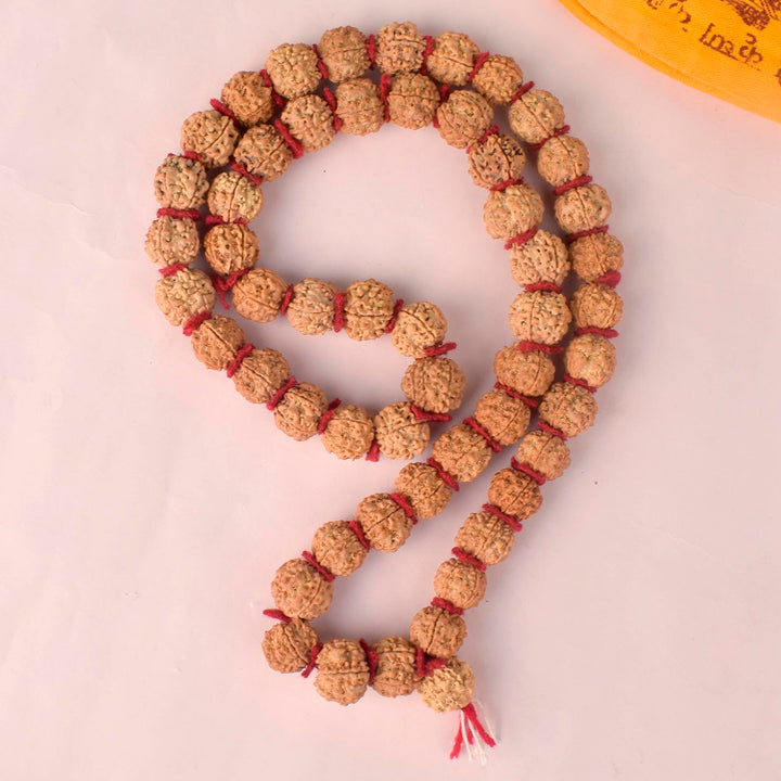 5 Mukhi Semi Pathariya Rudraksha Mala featuring natural five-faced beads, ideal for daily meditation, spiritual balance, and positive energy. India’s Premium Rudraksha Jap Mala Store- www.satvikworld.com