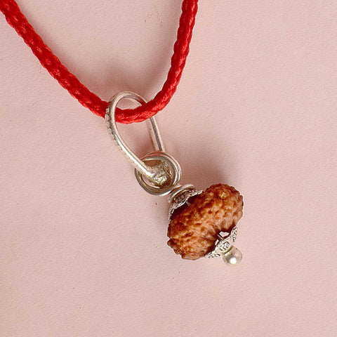 Certified 14 Mukhi Rudraksha Pendant with metal capping for spiritual strength and intuition. India’s Premium Rudraksha Jap Mala Store- www.satvikworld.com
