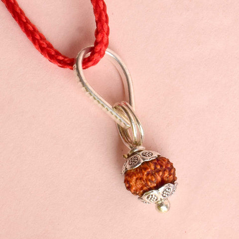 Certified 12 Mukhi Rudraksha Pendant with metal capping for confidence and energy. India’s Premium Rudraksha Jap Mala Store- www.satvikworld.com