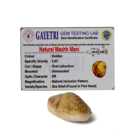 Natural golden Machh Mani spiritual stone in polished finish, placed on decorative altar setup for pooja and astrological remedies. India’s Largest Pooja Accessories Brand - www.satvikworld.com