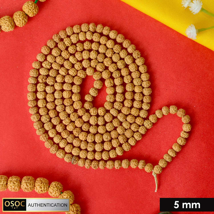 Semi Pathariya Rudraksha Mala with natural brown beads for meditation and spiritual chanting. India’s Premium Rudraksha Jap Mala Store- www.satvikworld.com