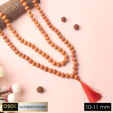 Shop 10-11mm Semi Pathriya Rudraksha Mala for daily Jaap and meditation. This authentic Rudraksha mala brings spiritual balance, positive energy, and peace.  India’s Premium Jap Mala Store - www.satvikworld.com