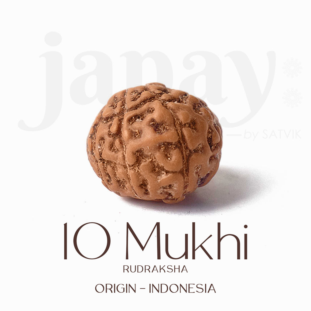Certified 10 Mukhi brown Rudraksha bead from Indo origin placed on red cloth for spiritual protection, healing, and divine blessings. India’s Largest Pooja Accessories Brand - www.satvikworld.com


