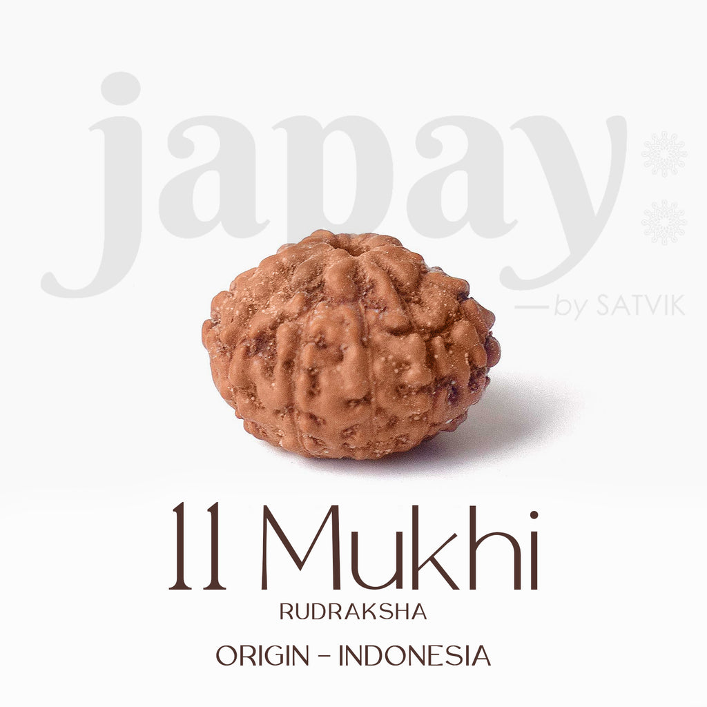 Certified 11 Mukhi brown Rudraksha bead from Indo origin placed on red cloth, symbolizing divine protection, mental clarity, and Lord Hanuman's blessings. India’s Largest Pooja Accessories Brand - www.satvikworld.com
