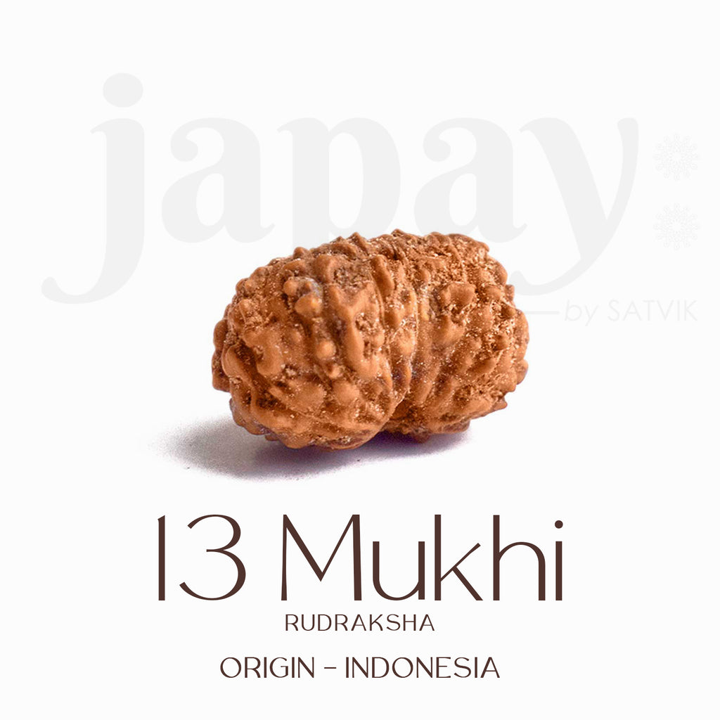 Certified 13 Mukhi Rudraksha bead in brown tone from Indo origin placed on red cloth, symbolizing charm, siddhi, and divine blessings of Venus and Kamadeva. India’s Largest Pooja Accessories Brand - www.satvikworld.com
