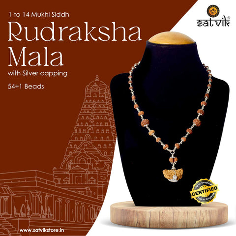 Certified 1 to 14 Face Rudraksha Mala with brown beads and silver capping, handcrafted with original Indonesian beads for divine protection and spiritual awakening. India’s Premium Rudraksha Jap Mala Store- www.satvikworld.com
