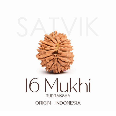 Certified 16 Mukhi Rudraksha Bead – Indonesia origin sacred bead representing Lord Ram, known for protection, truth, victory, and removal of fear and negativity. India’s Largest Brass Idols Brand - www.satvikworld.com
