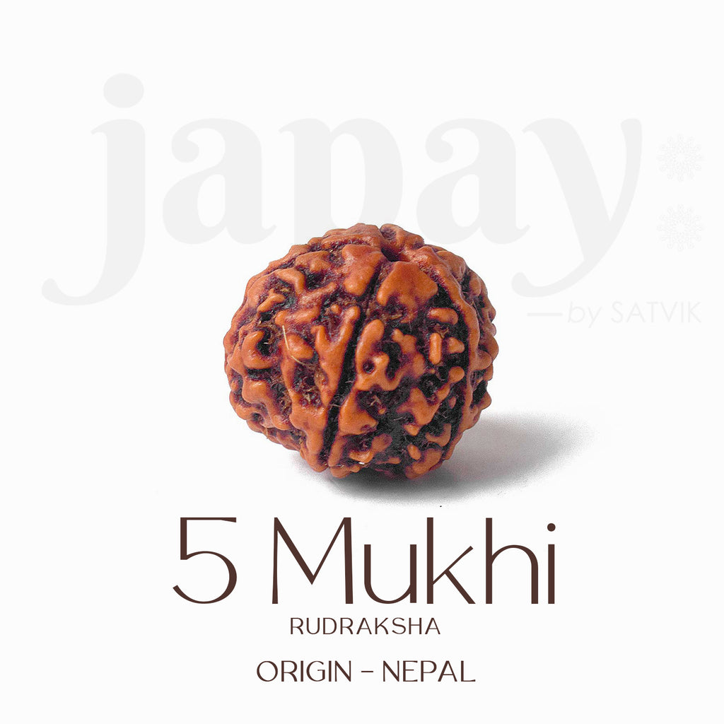 Certified 5 Mukhi Rudraksha Kantha Mala with brown natural beads, hand-strung for spiritual protection and meditation benefits. India’s Largest Pooja Accessories Brand - www.satvikworld.com
