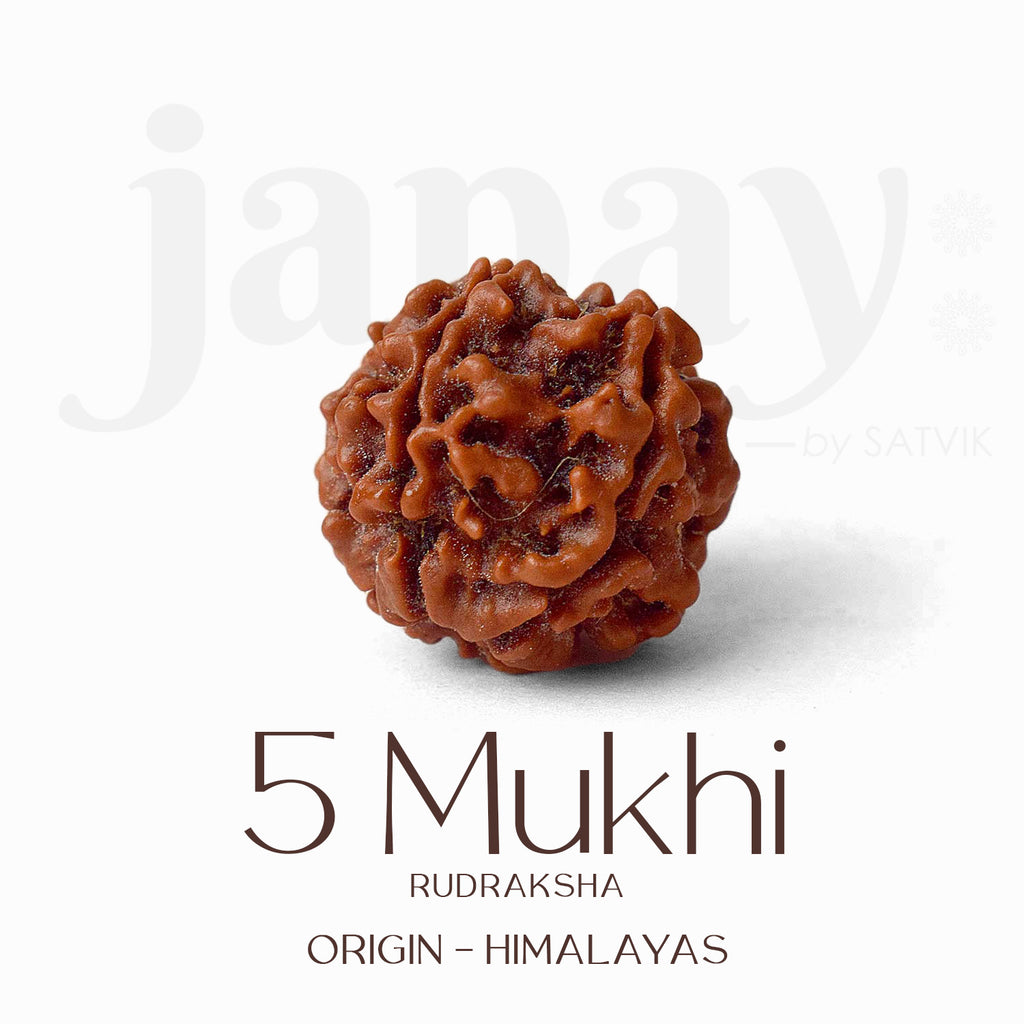 Certified 5 Mukhi Rudraksha Kantha Mala with brown natural beads, hand-strung for spiritual protection and meditation benefits. India’s Largest Pooja Accessories Brand - www.satvikworld.com
