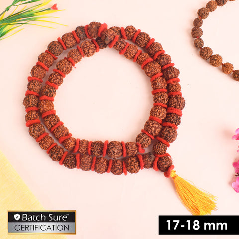 5 Mukhi Rudraksha Kantha Mala with 54 natural beads, strung in red velvet thread for spiritual meditation and daily prayer use. India’s Premium Rudraksha Jap Mala Store- www.satvikworld.com