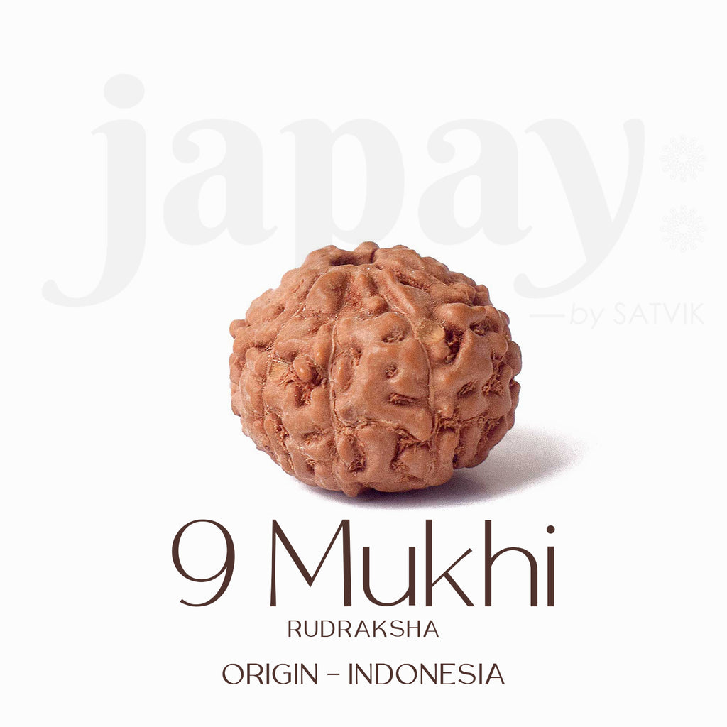 Certified 9 Mukhi brown Rudraksha bead from Indo origin placed on red cloth, representing divine strength, protection, and blessings of Goddess Durga. India’s Largest Pooja Accessories Brand - www.satvikworld.com
