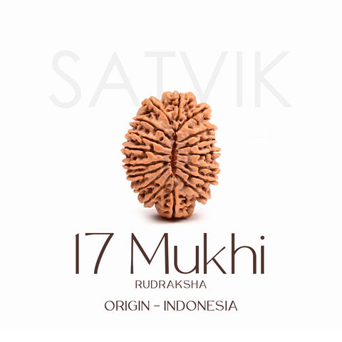 Certified 17 Mukhi Rudraksha Bead – Indonesia origin bead representing Goddess Katyayani, known for bringing prosperity, success, spiritual growth, and fulfillment of desires. India’s Largest Brass Idols Brand - www.satvikworld.com