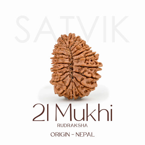 Certified 21 Mukhi Rudraksha Bead – Nepali origin sacred bead representing Lord Kuber, known for attracting immense wealth, success, and divine blessings. India’s Largest Brass Idols Brand - www.satvikworld.com