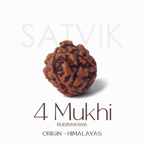 Certified 4 Mukhi natural brown Rudraksha bead placed on red cloth, representing wisdom, speech clarity, and blessings of Lord Brahma. India’s Largest Pooja Accessories Brand - www.satvikworld.com