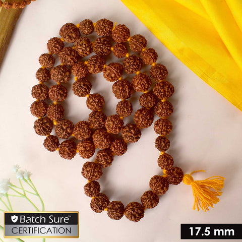 Certified 54 Dana Kantha Rudraksha Mala with dark brown natural beads, used for meditation, chanting, and spiritual healing. India’s Premium Rudraksha Jap Mala Store- www.satvikworld.com