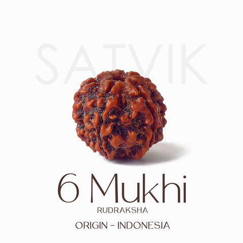 Certified 6 Mukhi brown Rudraksha bead placed on red fabric, symbolizing courage, focus, and inner discipline for spiritual and professional growth. India’s Largest Pooja Accessories Brand - www.satvikworld.com