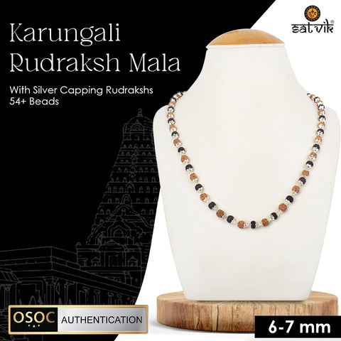 Govt. Certified Rudraksha & Karungali Mala with Silver Plating Capping for spiritual protection and healing. India’s Largest Pooja Accessories Brand - www.satvikworld.com