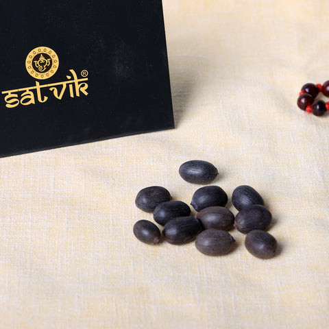 Natural Kamal Gatta Loose Beads for Pooja, Jap Mala Making, Meditation, Wealth and Prosperity Rituals, Traditionally Used in Spiritual Worship. India’s Largest Pooja Accessories Brand – www.satvikworld.com
