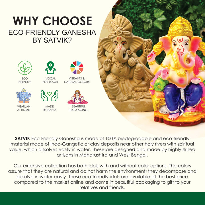 Eco-friendly Ganesha By Satvik