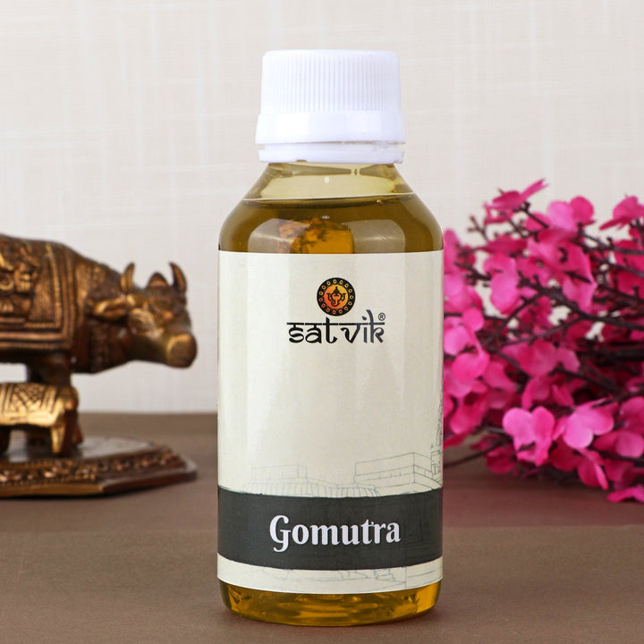 A bottle of Gaumutra (cow urine), a traditional and sacred product used in Hindu rituals and for its medicinal and purifying properties. India’s Largest Pooja Accessories Brand – www.satvikworld.com