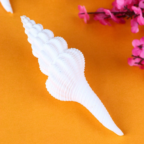 White Ganesh Shankh (Conch Shell) symbolizing prosperity and good fortune, perfect for puja and spiritual rituals. India’s Largest Pooja Accessories Brand – www.satvikworld.com
